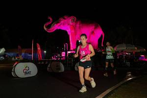 BIB: 
                            <button type="button" onclick="openModal(26543141)" class="btn btn-primary btn-sm float-right btn-popup" data-toggle="modal" data-target=".modal-high-quality">
                        <i class="fas fa-shopping-cart"></i> Add to Cart
                    </button>
                                            <button type="button" onclick="isThisMe(26543141, true)" class="btn btn-success btn-sm float-right btn-popup btn-isme hidden" data-toggle="tooltip" data-placement="bottom" title="นี่คือรูปของคุณใช่ไหม คลิกที่นี่เพื่อเอาเข้าอัลบั้ม">
                        <i class="fas fa-plus"></i> Add to album
                    </button>
                    <button type="button" onclick="isThisMe(26543141, false)" class="btn btn-warning btn-sm float-right btn-popup btn-isnotme hidden">
                        <i class="fas fa-ban"></i> Remove from album
                    </button>